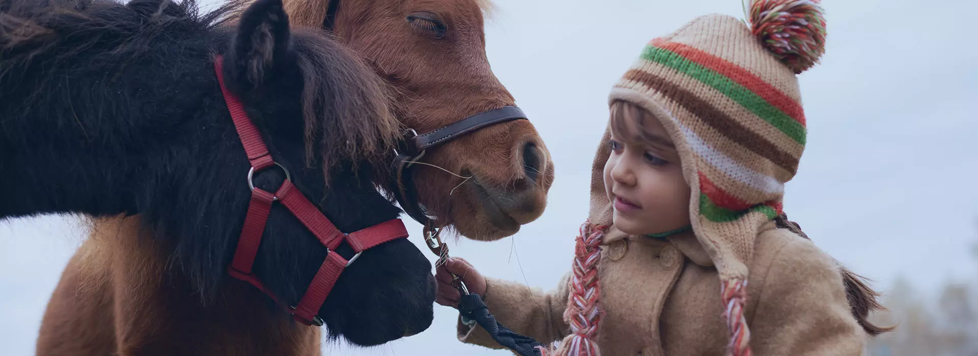Non ci sono barriere, se non culturali..