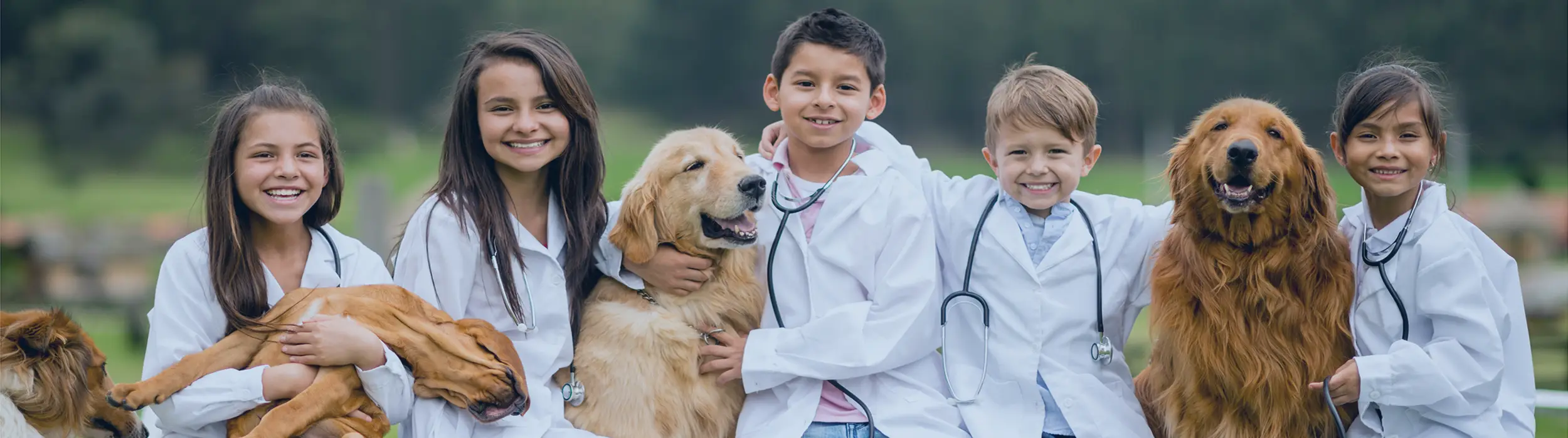 La medicina veterinaria che vorrei