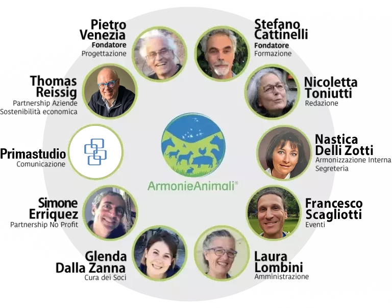 organigramma armonie animali
